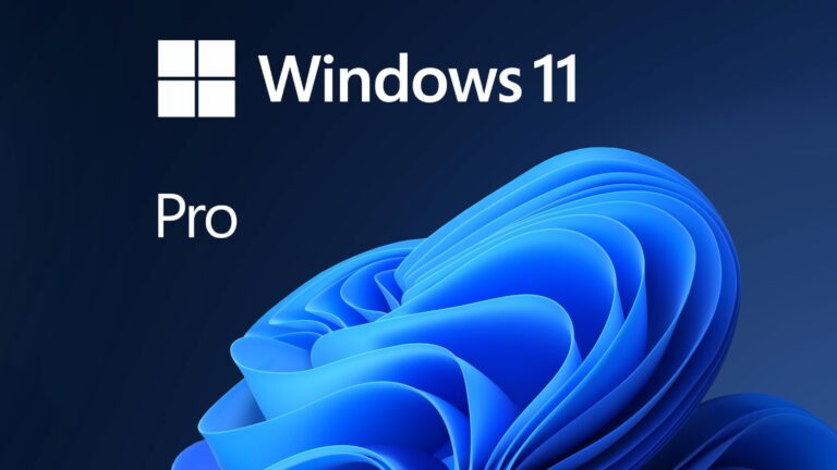 Microsoft Windows 11 Pro OEM sans support